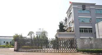 鼎盛园区最新爆料,揭秘未来科技巨头崛起之路